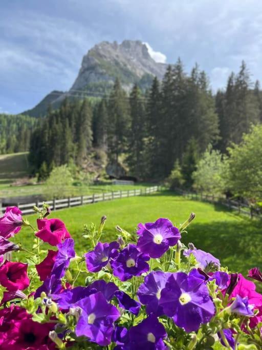 Апартаменти Sellaronda - Ciampac Experience Альба-ді-Канацеї Екстер'єр фото